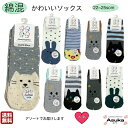 \母の日セール!10%オフ!/【 3足セット】【 綿混】婦人 かわいい 綿混 ソックス はきやすい つま先 アニマル 柄 アソート 1000円ぽっきり ポイント...