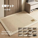 送料無料 玄関マット大判 室内 マット 泥落とし 大判 13色展開 洗える 洗濯機洗い可 滑り止め 厚手で汚れにくい 室内 屋外 絨毯 おしゃれ 玄関 入口 高...
