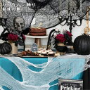 送料無料 ハロウィン 飾り 蜘蛛の巣 ブラック カーテン ホワイト カーテン お化け屋敷 不気味 ハロウィーン 装飾 布 簡単 怖いガーゼ布 玄関 屋外 壁飾り...