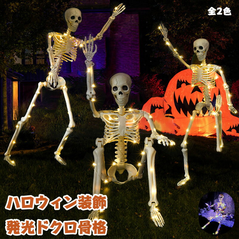 ̵ LED饤  Ϥˤɥ ϥ  ͥ ƥꥢ   С ե Ź ϥ饤  פʷϵ...