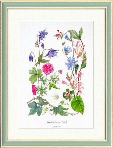 樂天商城 - 【絵画】Pam Long『パレット』複製画■新品★