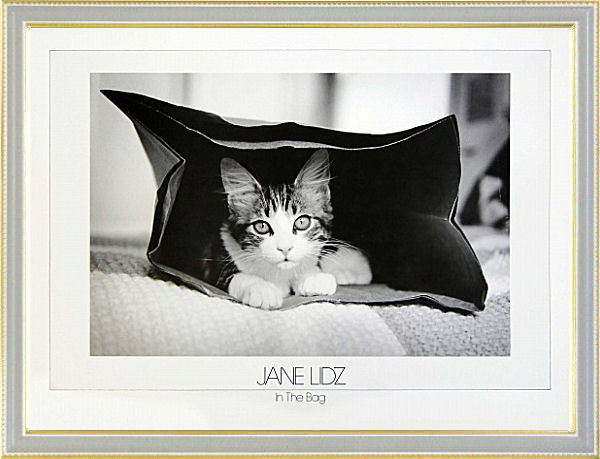 【絵画】Jane Lidz『In the Bag』複製画■新品★