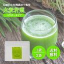 しまね有機ファーム 大麦若葉パウダー 100g 選べる1~2袋 セット オーガニック 大麦 若葉 国産 有機 原料 粉末 香料 不使用 健康 美容 ダイエット 栄養 補給 島根県 伝統的 有機農法 スムージー 青汁 素材 製菓 材料