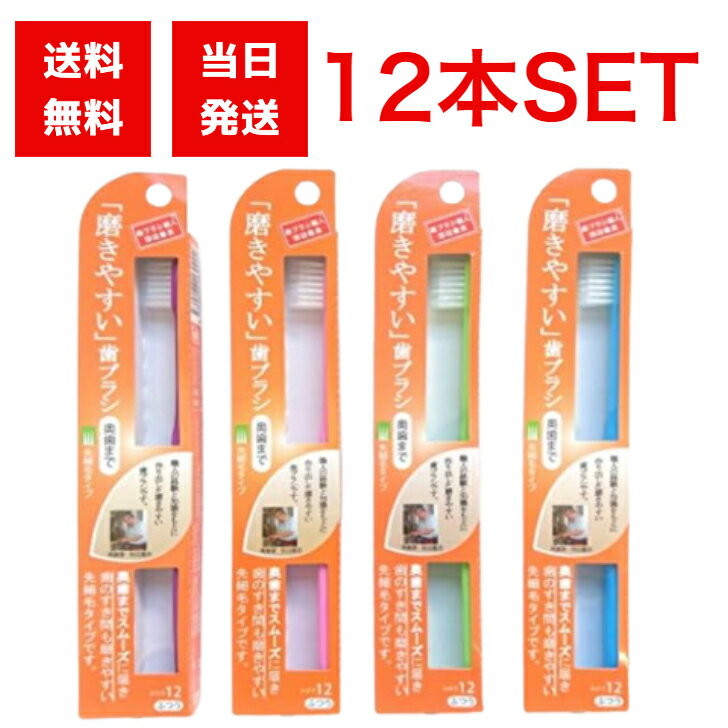 奥歯まで磨きやすい歯ブラシ 先細毛タイプ 12本セット 歯ブラシ デンタルケア セット 田辺重吉 ふつう 先細毛 ピンク グリーン ブルー 奥歯まで