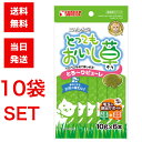 サンライズ ニャン太のとってもおいし草 10g×6本 10袋セット ピューレタイプ 食物繊維 猫 毛玉排出 毛玉サポート 猫のおやつ 愛猫用スナック
