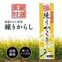 東京フード 練り からし 40g 選べる1~10本 国産 ねり 辛子 カラシ 厳選素材使用 ( 国産 からし 純米酢 赤穂の天塩 有機 JAS べに花油 ) お...