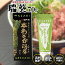 田丸屋 国産 本わさび 瑞葵 70g 3~5本 無着色 チューブ ワサビ 山葵 わさび wasabi 静岡 刺身 醤油 焼き肉 BBQ バーベキュー たまるや ...