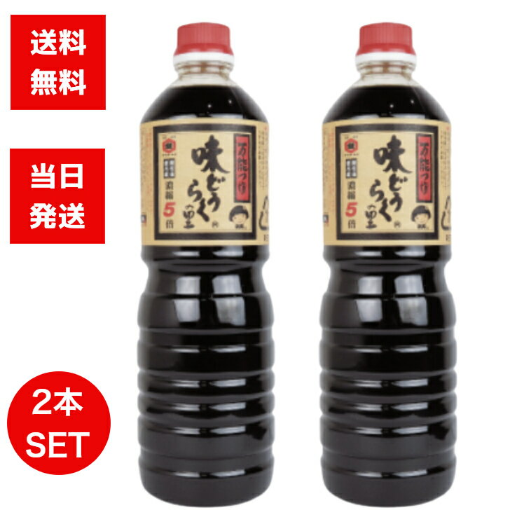 東北醤油 味どうらくの里 1000ml 2本セット 万能つゆ キッコーヒメ 醤油 しょうゆ 調味料 煮物 刺身