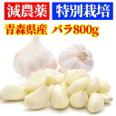 【産直】特別栽培 減農薬 にんにく バラ粒 800g【青森県産】【送料無料】【白にんにく】【にんにく料理】【健康】【ガーリック】【スタミナ料理】【抑臭】