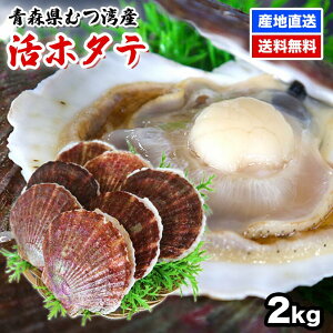 【青森県産の帆立】人気の美味しい青森産ホタテのおすすめは？