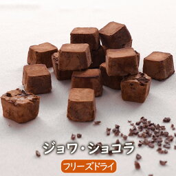 【数量限定】ジョワ・ショコラ(54g) チョコスナック おやつ ご褒美 大人 チョコ ちょこ カカオニブ カカオ 着色料不使用 お菓子 フリーズドライ アスザックフーズ