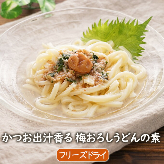 【マラソン限定セール】かつお出汁香る 梅おろしうどんの素 3食 インスタント めんつゆ うどんつゆ 具材入り つゆ フリーズドライ アスザックフーズのサムネイル