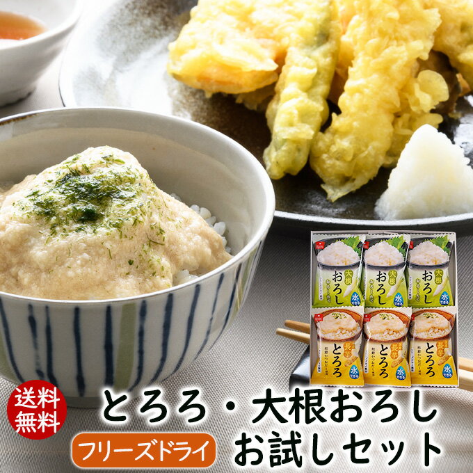 送料無料 フリーズドライとろろと大根おろしのお試しセット味付けとろろ(信州松代産 青森県産長芋) 水でできる大根おろしアスザックフーズ【メール便発送】のサムネイル