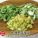 フリーズドライ野菜　乾燥野菜【送料無料】野菜福袋（ほうれん草・ねぎ・キャベツ） 【素材おすすめの日】お試し　送料込み【メール便発送】