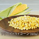 アスザックフーズ フリーズドライコーン(60g) 乾燥野菜 ドライコーン フリーズドライ フリーズドライ野菜 とうもろこし 粒コーン ドライ野菜 ラーメン具材 ...
