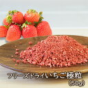 アスザックフーズ フリーズドライいちご 極粒(50g)乾燥いちご 乾燥イチゴ おやつ お菓子 お菓子づくり アイス ケーキ クッキー フリーズドライ フリーズド...