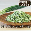 アスザックフーズ 乾燥野菜 フリーズドライ野菜 フリーズドライ小ねぎ(10g)小ネギ コネギ 乾燥ネギ ドライねぎ 味噌汁 ラーメン具材 乾燥野菜のアスザックフ...