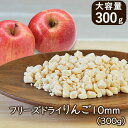 アスザックフーズ お徳用大袋フリーズドライりんご10mm(300g) 乾燥リンゴ 乾燥フルーツ ドライフルーツ 簡単手作りお菓子づくり アイス ケーキ クッキー...