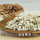【ランキング1位】アスザックフーズ 乾燥きのこ フリーズドライ 野菜 フリーズドライ国産舞茸 40g フリーズドライ野菜 ドライ野菜 乾燥野菜 舞茸 まいたけ ...