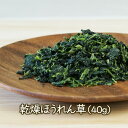 乾燥野菜 九州産ほうれん草（40g）【吉良食品】