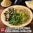 アスザックフーズ フリーズドライ野菜味噌汁の具4種セット 送料無料 フリーズドライ 揚げ茄子 乾燥油揚げ 乾燥キャベツ キャベツ ほうれん草 あぶらあげ 味噌汁...
