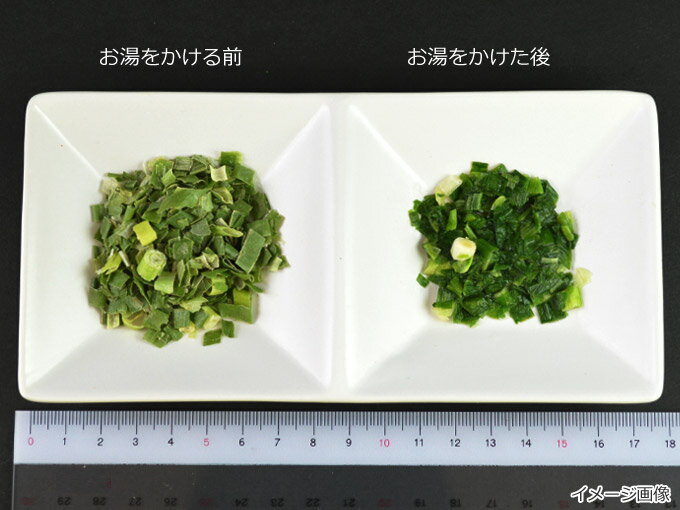 乾燥野菜 フリーズドライ野菜 フリーズドライ小ねぎ（10g）小ネギ コネギ 乾燥ネギ ドライねぎ 味噌汁ラーメン具材 乾燥野菜のアスザックフーズ 2