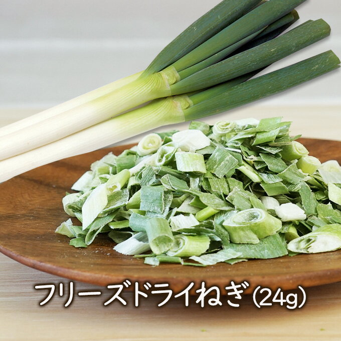 アスザックフーズ フリーズドライねぎ(24g) 乾燥野菜 フリーズドライ野菜 乾燥ネギ 味噌汁 ねぎ 味噌汁の具 スープの具 登山 アウトドア 海外生活に ラー...