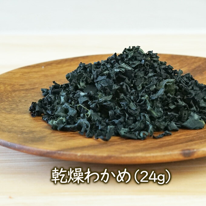 乾燥野菜 乾燥わかめ（24g）インス