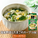 フリーズドライスープ 国産野菜と