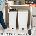 【ZIP!で紹介】ゴミ箱 分別 スリム ペダル 棚下 おしゃれ キッチン ふた付き 縦型 大容量 ワゴン 30リットル 40リットル 食器棚 キッチンボード ご...