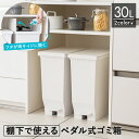 ゴミ箱 分別 スリム ペダル 棚下 おしゃれ キッチン ふた付き 縦型 大容量 ワゴン 30リットル 30l 食器棚 キッチンボード カップボード ごみ箱 ダストボックス 足踏み 両開き 新生活 【 アスベル エバン ASVEL EBAN 棚下で使える ペダル スリム 30L 】