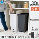 【ZIP!で紹介】ゴミ箱 分別 スリム ペダル 棚下 おしゃれ キッチン ふた付き 縦型 大容量 ワゴン 30リットル 食器棚 キッチンボード カップボード ご...