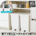 ゴミ箱 分別 スリム ペダル 棚下 おしゃれ キッチン ふた付き 縦型 大容量 ワゴン 40リットル 40l 食器棚 キッチンボード カップボード ごみ箱 ダストボックス 足踏み 両開き 新生活 