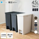 ゴミ箱 分別 【限定カラー】 スリム ペダル おしゃれ キッチン ふた付き 縦型 大容量 ワゴン 45リットル 45l ダストボックス リビング ごみ箱 足踏み...