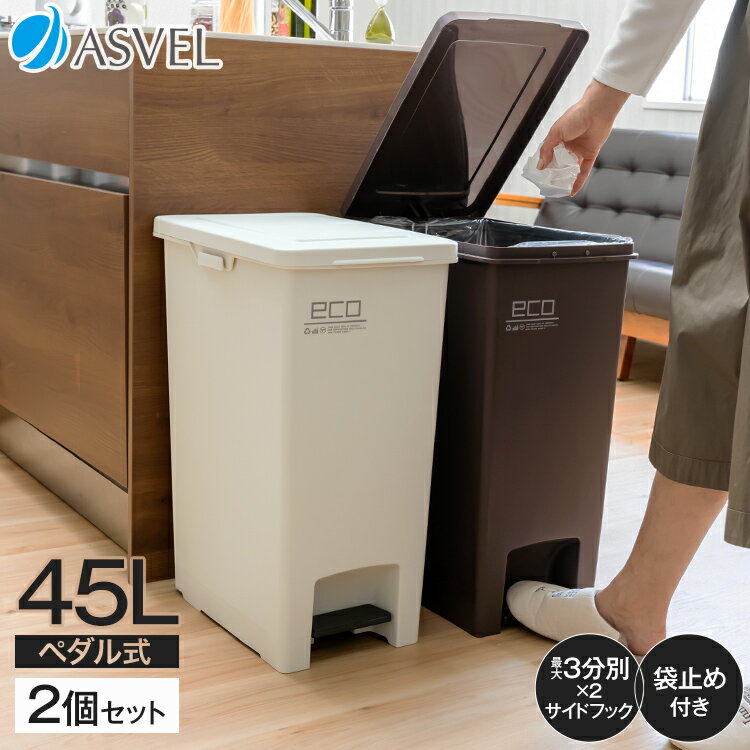 ゴミ箱 分別 スリム おしゃれ キッチン ふた付き ペダル 縦型 大容量 45リットル 45l ダストボックス おしゃれ リビング ごみ箱 【 アスベル エバン ASVEL EBAN ペダル スリム 45L SD 2個セット 】