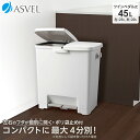 ゴミ箱 分別 ワイド 横型 おしゃれ キッチン ふた付き 2分別 大容量 ワゴン 45L ダストボックス リビング ペダル ごみ箱 足踏み 新生活 【 アスベル...
