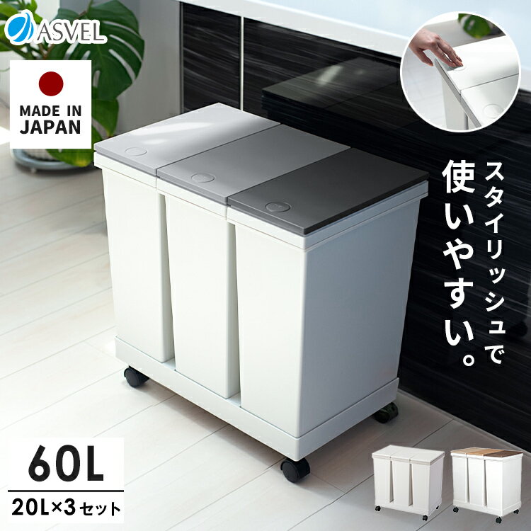 ランキング受賞 ゴミ箱 分別 【限定カラー】 スリム おしゃれ キッチン ふた付き 3分別 大容量 ワゴン キャスター ダストボックス リビング プッシュ ごみ箱 新生活 ボタン ワンタッチ 資源ゴミ プラゴミ キャスター付き 【 アスベル ASVEL 横型 3分別 ワゴン 60L 】
