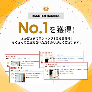 ゴミ箱 分別 スリム 縦型 2段 おしゃれ キッチン ふた付き 2分別 大容量 ワゴン 40L ダストボックス リビング ペダル ごみ箱 新生活 【 アスベル ASVEL 分別 ペダル 2段 ワイド 40L 】