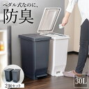 ゴミ箱 分別 スリム ペダル おしゃれ キッチン ふた付き 縦型 大容量 密閉 ワゴン 30リットル 30l ダストボックス リビング ごみ箱 足踏み 新生活 【 アスベル エバン ASVEL EBAN 密閉 ペダル スリム 30L 2個セット 】