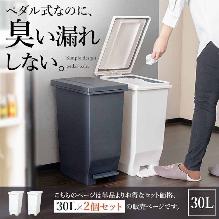 ゴミ箱 分別 スリム ペダル おしゃれ キッチン ふた付き 縦型 大容量 密閉 ワゴン ...