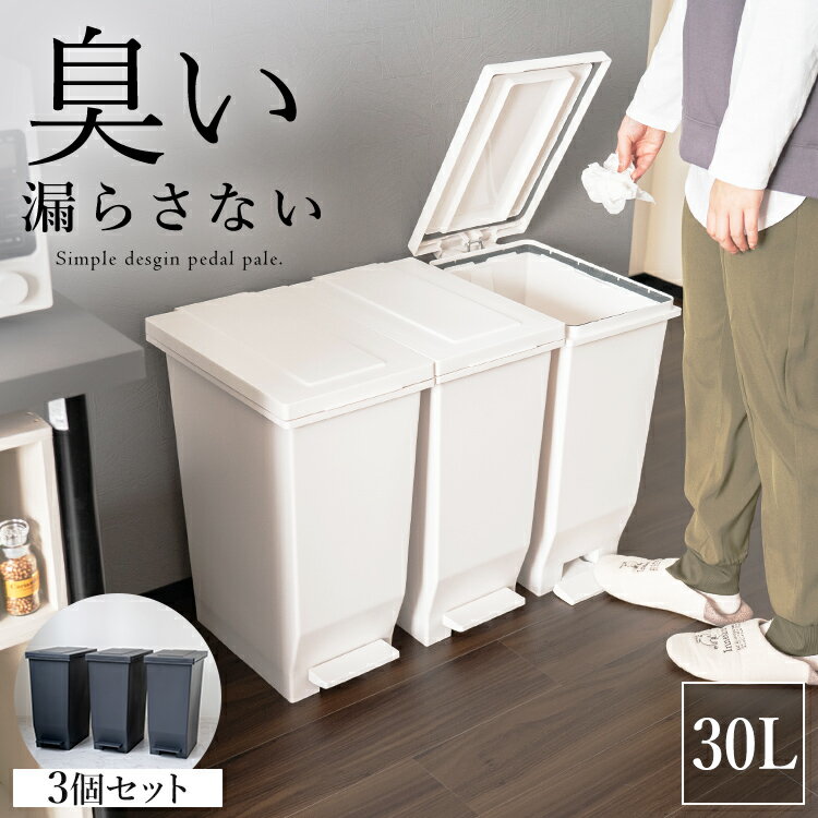 ゴミ箱 分別 スリム ペダル おしゃれ キッチン ふた付き 縦型 大容量 密閉 ワゴン 30リットル 30l ダストボックス リビング ごみ箱 足踏み 新生活 【 アスベル エバン ASVEL EBAN 密閉 ペダル スリム 30L 3個セット 】