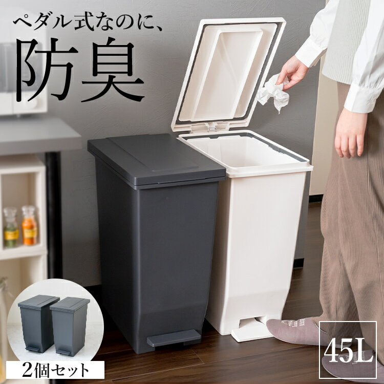 ゴミ箱 分別 スリム ペダル おしゃれ キッチン ふた付き 縦型 大容量 密閉 ワゴン 45リットル 45l ダストボックス リビング ごみ箱 足踏み 新生活 【 アスベル エバン ASVEL EBAN 密閉 ペダル スリム 45L 2個セット 】