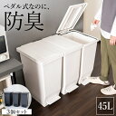 ゴミ箱 分別 スリム ペダル おしゃれ キッチン ふた付き 縦型 大容量 密閉 ワゴン 45リットル 45l ダストボックス リビング ごみ箱 足踏み 新生活 ...