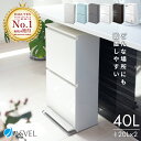ランキング受賞 ゴミ箱 分別 【限定カラー】 スリム 縦型 2段 おしゃれ キッチン ふた付き 2分別 大容量 ワゴン 40L ダストボックス リビング ペダル ごみ箱 足踏み タオルラック フラップ式 薄型 新生活 鏡面仕上げ 【 アスベル ASVEL 分別 ペダル 2段 ワイド 40L EC】