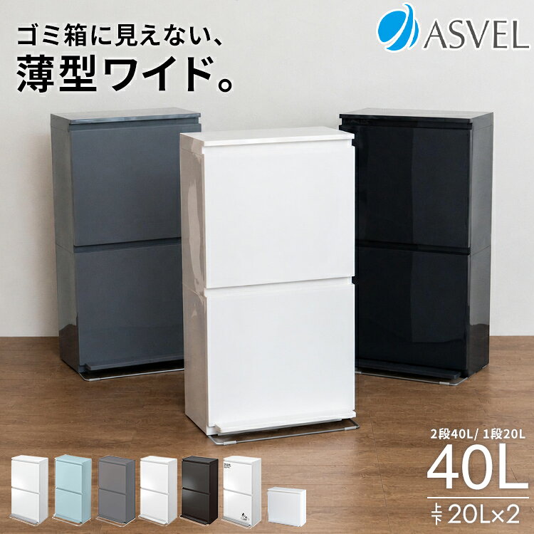 ゴミ箱 分別 スリム 縦型 2段 40リットル 日本製 おしゃれ キッチン 収納ボックス ふた付き 省スペース 2分別 大容量 ワゴン ダストボックス リビング ごみ箱 ペダル式 ペダル タオルラック フラップ式 前開き 薄型 ワイド アスベル ASVEL