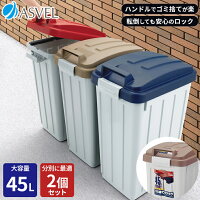 ゴミ箱 屋外 分別 スリム おしゃれ キッチン ふた付き 大容量 2分別 ワゴン 45リットル 45l ダストボックス 【 アスベル ASVEL ハンドル 分別 ペール 45L 2個 セット 】