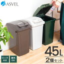 ゴミ箱 屋外 分別 スリム おしゃれ キッチン ふた付き 大容量 2分別 ワゴン 45リットル 45l ダストボックス 新生活 ベランダ 【 アスベル ASVE...