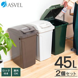 ゴミ箱 屋外 分別 スリム おしゃれ キッチン ふた付き 大容量 2分別 ワゴン 45リットル 45l ダストボックス 新生活 ベランダ 【 アスベル ASVEL SP ハンドル ペール 45L 2個 セット 】