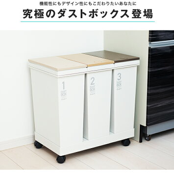 ゴミ箱 分別 スリム おしゃれ キッチン ふた付き 3分別 大容量 ワゴン キャスター ダストボックス リビング プッシュ ごみ箱 【 アスベル ASVEL 横型 3分別 ワゴン 60L 】