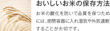 米びつ 冷蔵庫 密閉 10kg おしゃれ キッチン用品 キッチン収納 保存容器 ライスストッカー ライスボックス 12kg 無洗米 新生活 【 アスベル ASVEL 密閉 米びつ 12kg 】